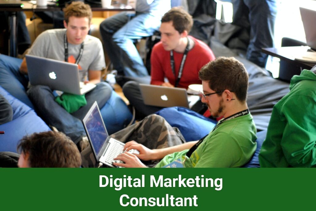 digital marketing consultant